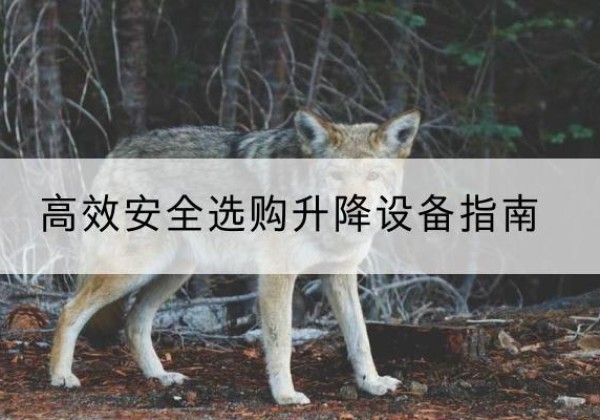 桃江升降货梯厂家推荐-*安全选购升降设备指南