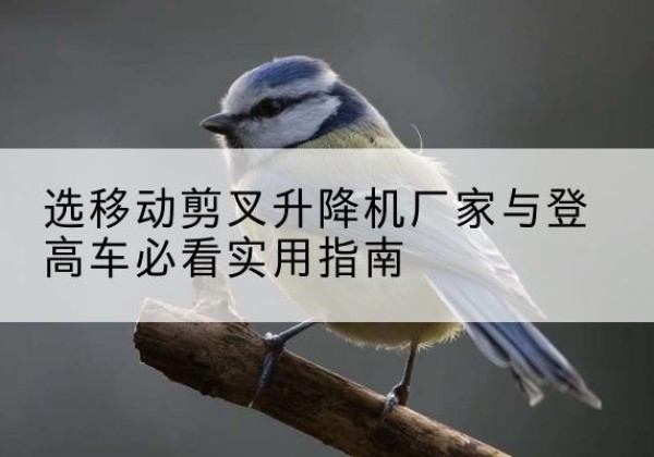 桃江电动升降机厂家-选移动剪叉升降机厂家与登高车必看实用指南