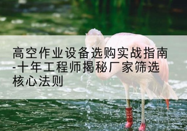 桃江剪叉式升降机厂家-高空作业设备选购实战指南-十年工程师揭秘厂家筛选核心法则